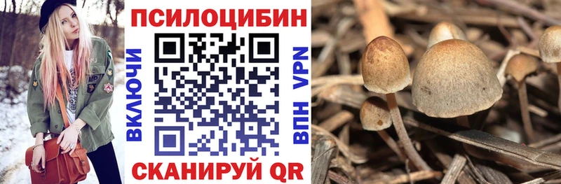 Псилоцибиновые грибы Psilocybine cubensis  Купить где  Лениногорск 