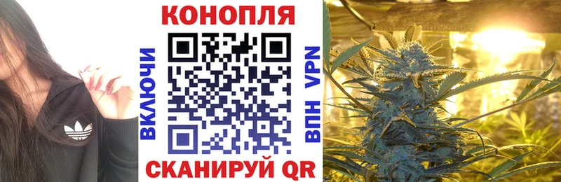 Купить где  Лениногорск  Бошки марихуана сатива 